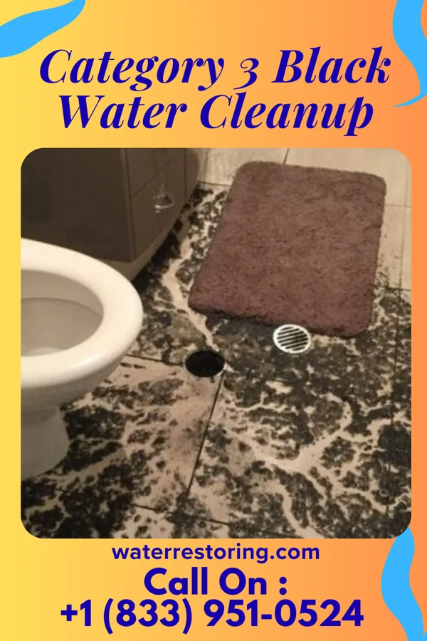Category 3 Black Water Cleanup in Fort Gaines, GA
