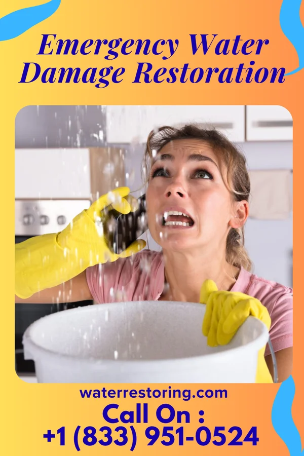 Emergency Water Damage Restoration in Fort Gaines, GA